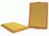 Air Filter:605 102 92