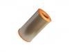 Luftfilter Air Filter:1295090