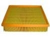 Air Filter:77 00 111 834