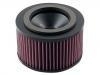 Air Filter:17801-54170