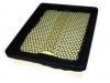 Filtro de aire Air Filter:1109-00200