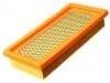 Air Filter:25043334