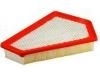 Luftfilter Air Filter:15875795