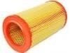 Luftfilter Air Filter:51793172