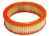 Luftfilter Air Filter:25040881