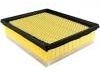 Air Filter:DS7Z-9601-A