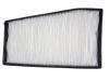 Filter, Innenraumluft Cabin Air Filter:B14-8107910