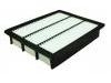 Filtro de aire Air Filter:10067663