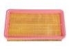 Air Filter:B11-1109111FL