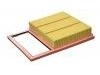 Air Filter:DG9Z-9601-A