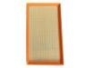 Air Filter:205468