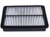 Air Filter:T15-1109111