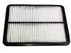 Luftfilter Air Filter:1109110A-P00-A1