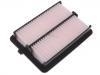 Air Filter:17220-6P7-H01