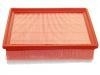 Air Filter:6000619767