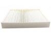 Filtre compartiment Cabin Air Filter:10193220