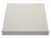 Filter, Innenraumluft Cabin Air Filter:500042992