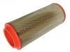 Air Filter:87370414