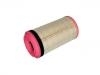 Luftfilter Air Filter:653200090060