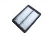 Air Filter:PAL6-13-3A0