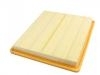 Air Filter:10487777