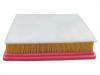 Air Filter:1109190-CR01